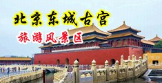 吃奶子淫水四射中国北京-东城古宫旅游风景区